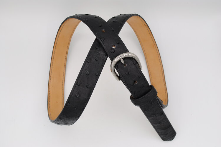 The Lygon Belt, Black Ostrich